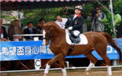 馬術復健